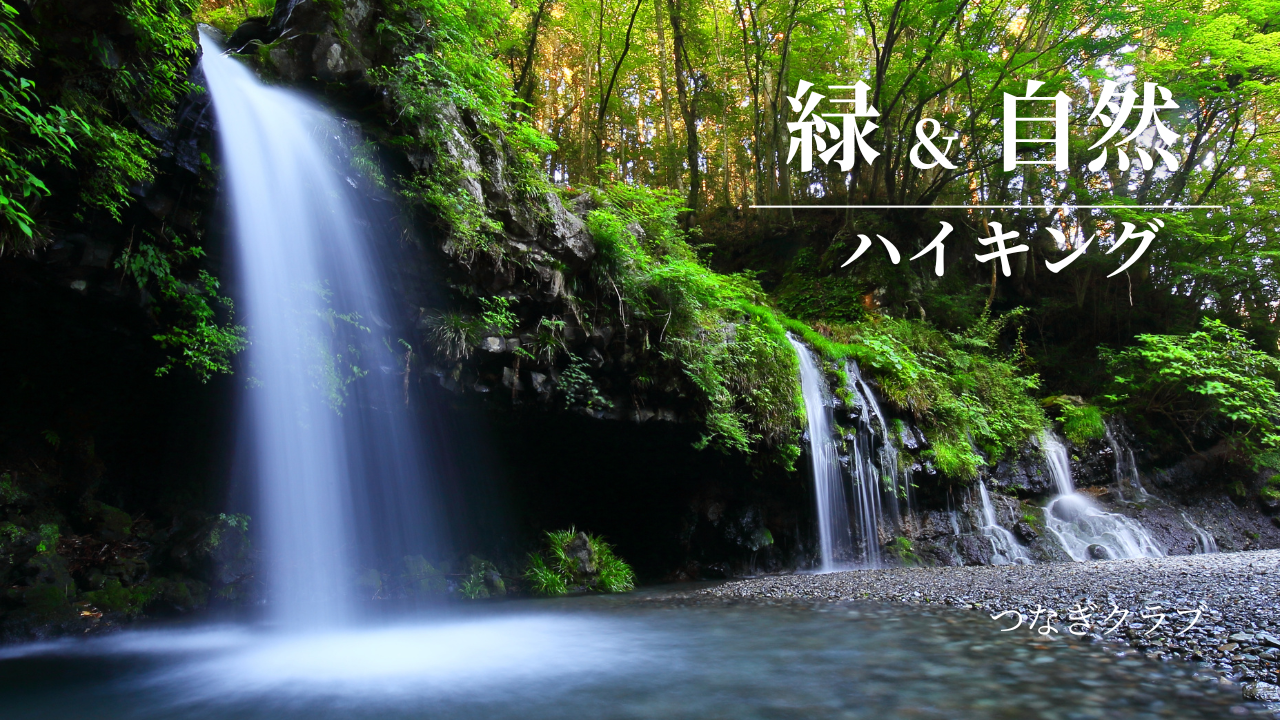 緑＆自然