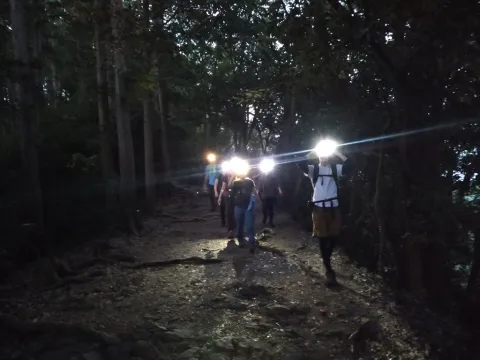 高尾山ナイトハイク